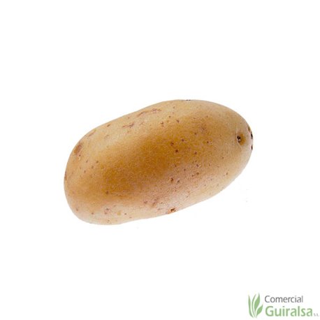 Patata de siembra Monalisa 35/55 Certificada Saco 25 kg