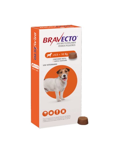 antiparasitario masticable Bravecto para perros medianos de 4,5 a 10 kg