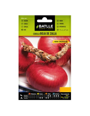 Semillas Cebolla Roja de Zalla Batlle