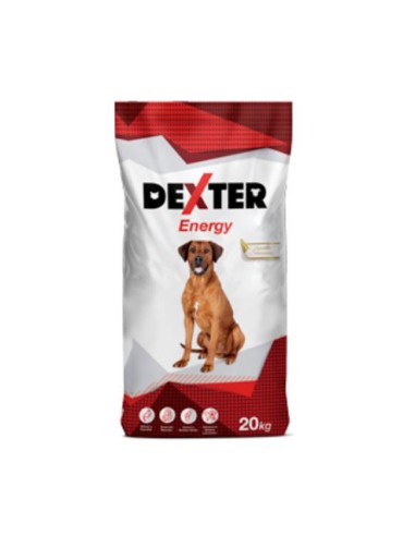 pienso energy Dexter perros adultos