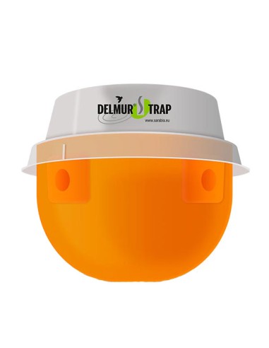 Trampa Insecticida Delmur Trap Dacus con Deltametrina