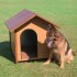 Caseta para Perros Montana color madera para perros grandes